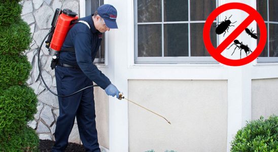 Köprübaşı Bit İlaçlama böcek ilaçlama ve haşere kontrolü — ilaclama-tr.com